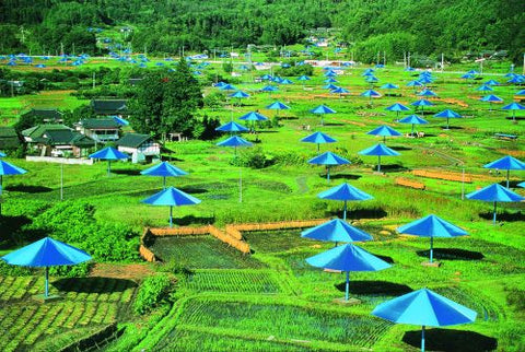 Umbrellas Blue (Photo, 1991)
