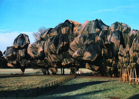 Wrapped Trees (Photo, 1998)